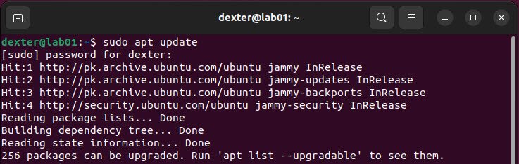 sudo apt update